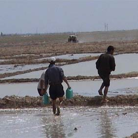 2005年新疆恰普其海水庫移民鹽堿改良項(xiàng)目(圖3) 2005年新疆恰普其海水庫移民鹽堿改良項(xiàng)目(圖3)